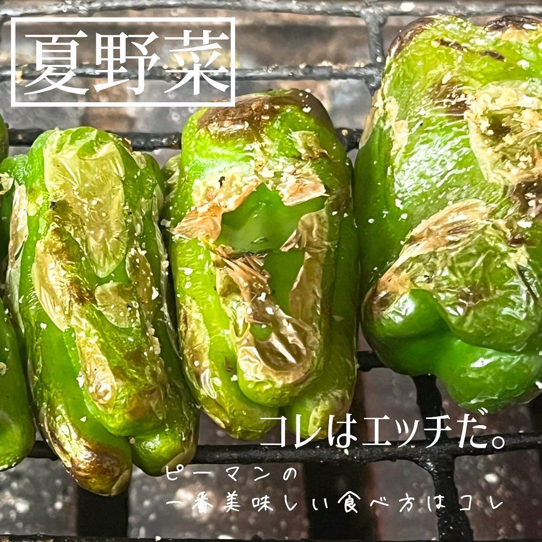 夏野菜ピーマン🫑@北海道/札幌/居酒屋/個室/海鮮/焼鳥/喫煙可/人気/おすすめ | 【公式】産地直送 粋な居酒屋 あいよ 札幌駅北3条店